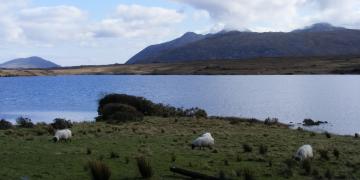 Etape 09 : Lough Fee