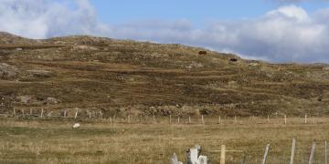 Etape 09 : Lough Fee