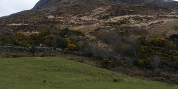 Etape 13 : Connemara Park