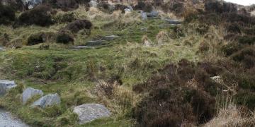 Etape 13 : Connemara Park