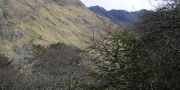 Etape 14 : Kylemore Abbey