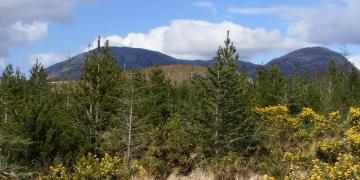 Etape 16 : Derryclare Lough