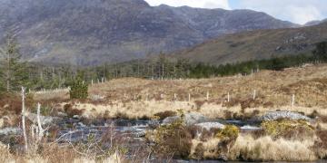 Etape 16 : Derryclare Lough
