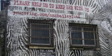 Enseignes & street Art