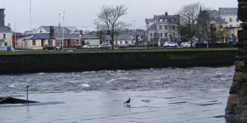 Rivere Corrib
