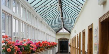 Université Mary Immaculate