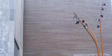 Mary Immaculate College