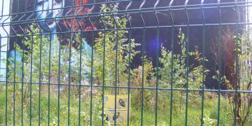 Enseignes, street art & drapeaux