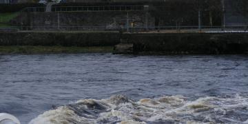 Quais de la rivière Shannon