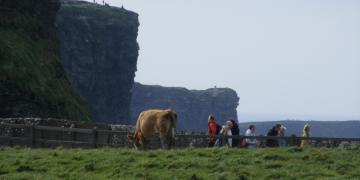 Falaises "Cliffs of Moher"*