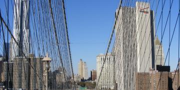 Brooklin-Bridge Views