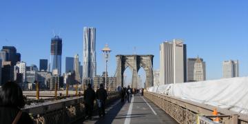 Brooklin-Bridge Views