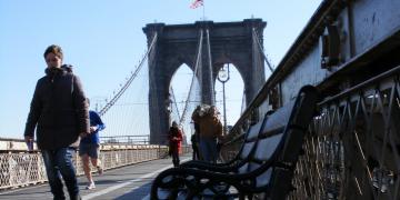 Brooklin-Bridge Views