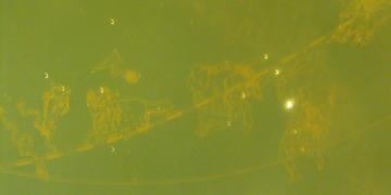 Grand Central Station