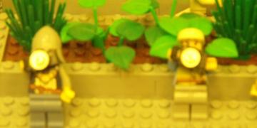 Lego Store