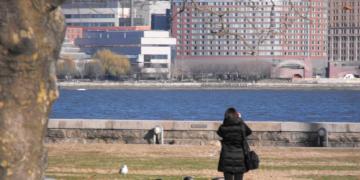 The Statue of the Liberty Views