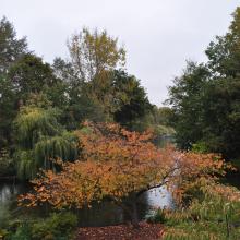 Londres_2017_0001__DSC_0681