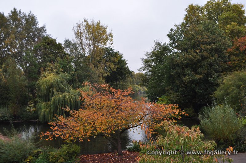 Londres_2017_0001__DSC_0681