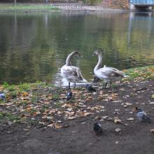 Londres_2017_0002__DSC_0685