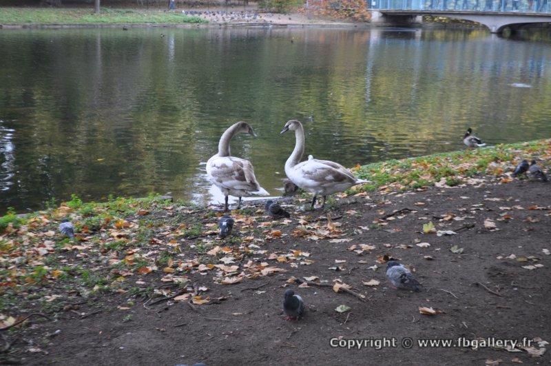 Londres_2017_0002__DSC_0685