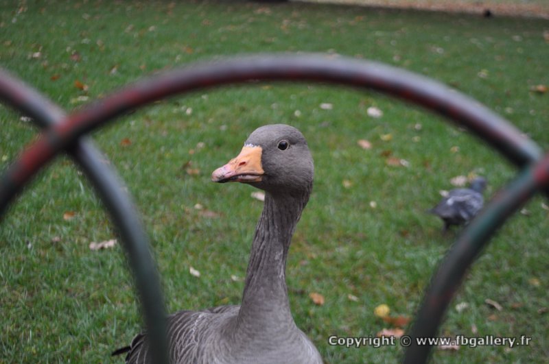 Londres_2017_0007__DSC_0693