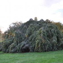 Londres_2017_0088__DSC_0802