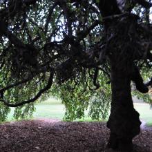 Londres_2017_0089__DSC_0804