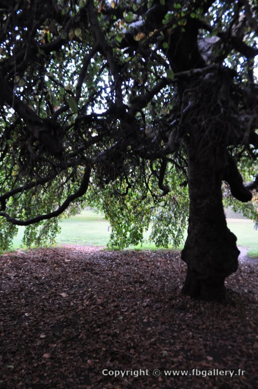 Londres_2017_0089__DSC_0804