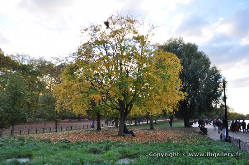 Londres_2017_0093__DSC_0813