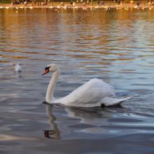 Londres_2017_0095__DSC_0817