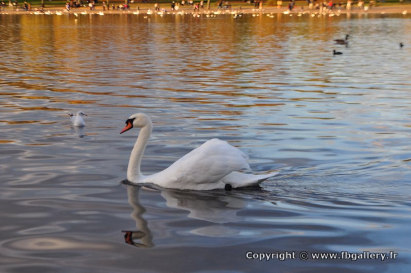 Londres_2017_0095__DSC_0817