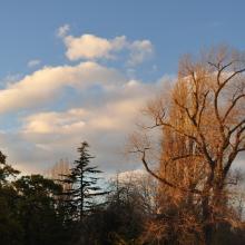 Londres_2017_0101__DSC_0833