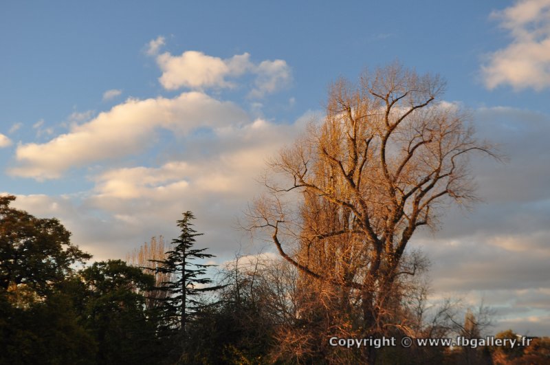 Londres_2017_0101__DSC_0833
