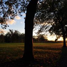 Londres_2017_0105__DSC_0842