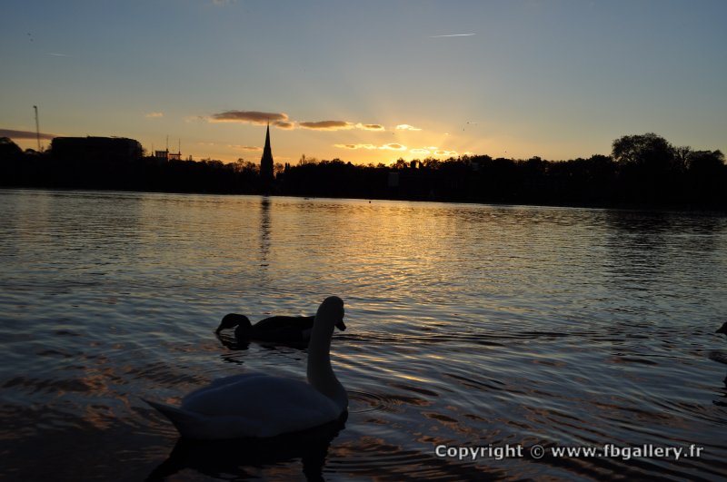 Londres_2017_0107__DSC_0847
