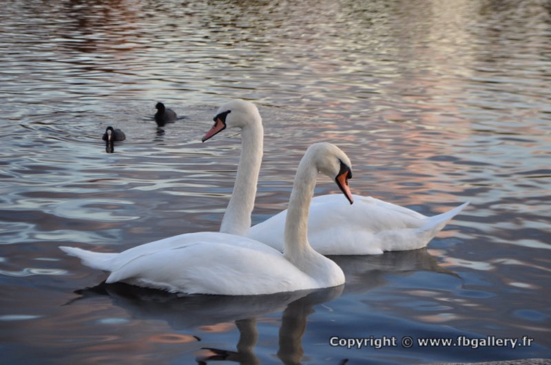 Londres_2017_0110__DSC_0852