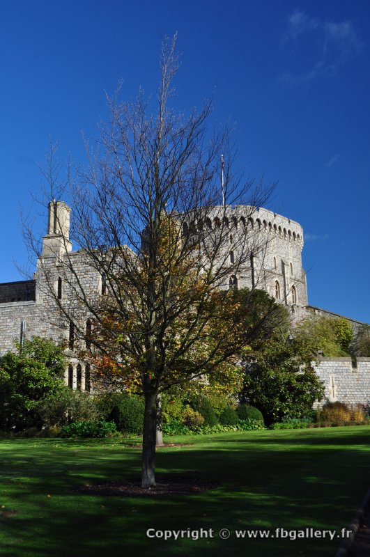 Londres_2017_0034__DSC_0733