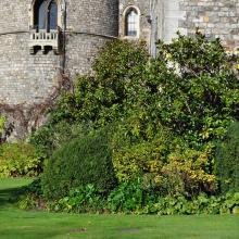 Londres_2017_0037__DSC_0736