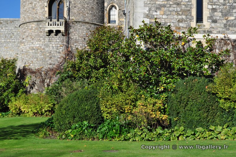 Londres_2017_0037__DSC_0736