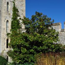 Londres_2017_0038__DSC_0737