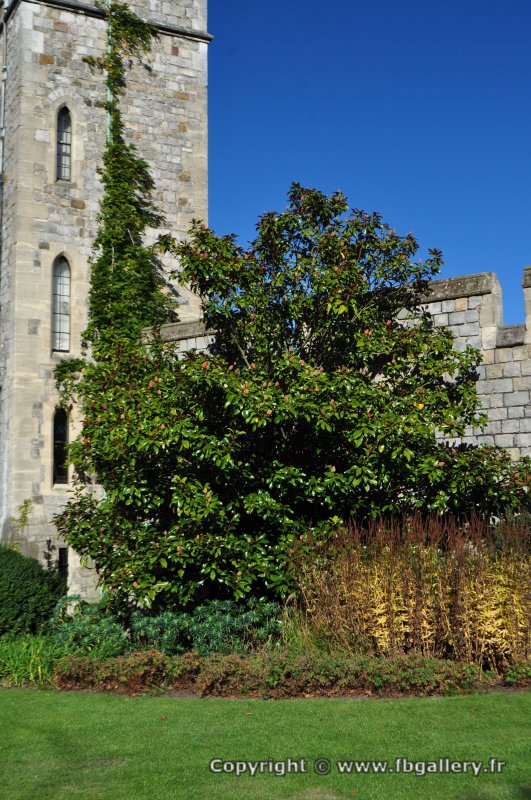 Londres_2017_0038__DSC_0737