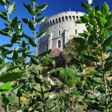 Londres_2017_0045__DSC_0744