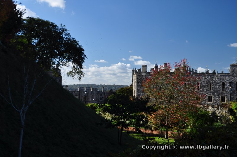 Londres_2017_0053__DSC_0752