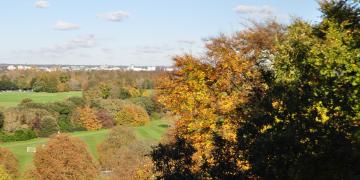 Popular photo albums*