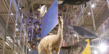 National Museum of Scotland