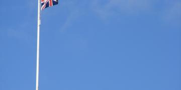 Affiches, drapeaux & artistes