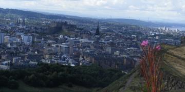 Holyrood park